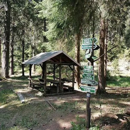 Linde Am Blessberg Schirnrod