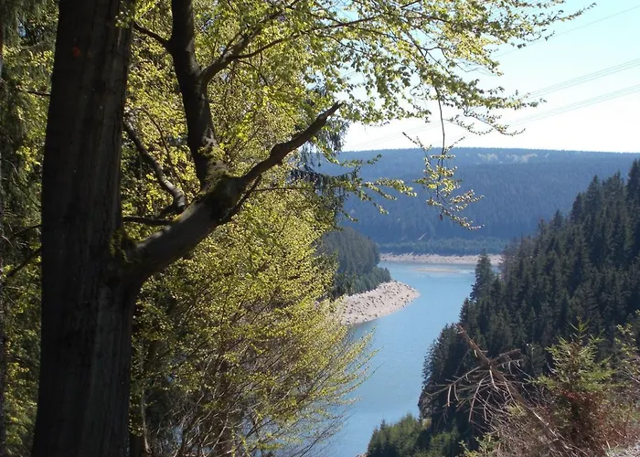 Linde Am Blessberg * Schirnrod